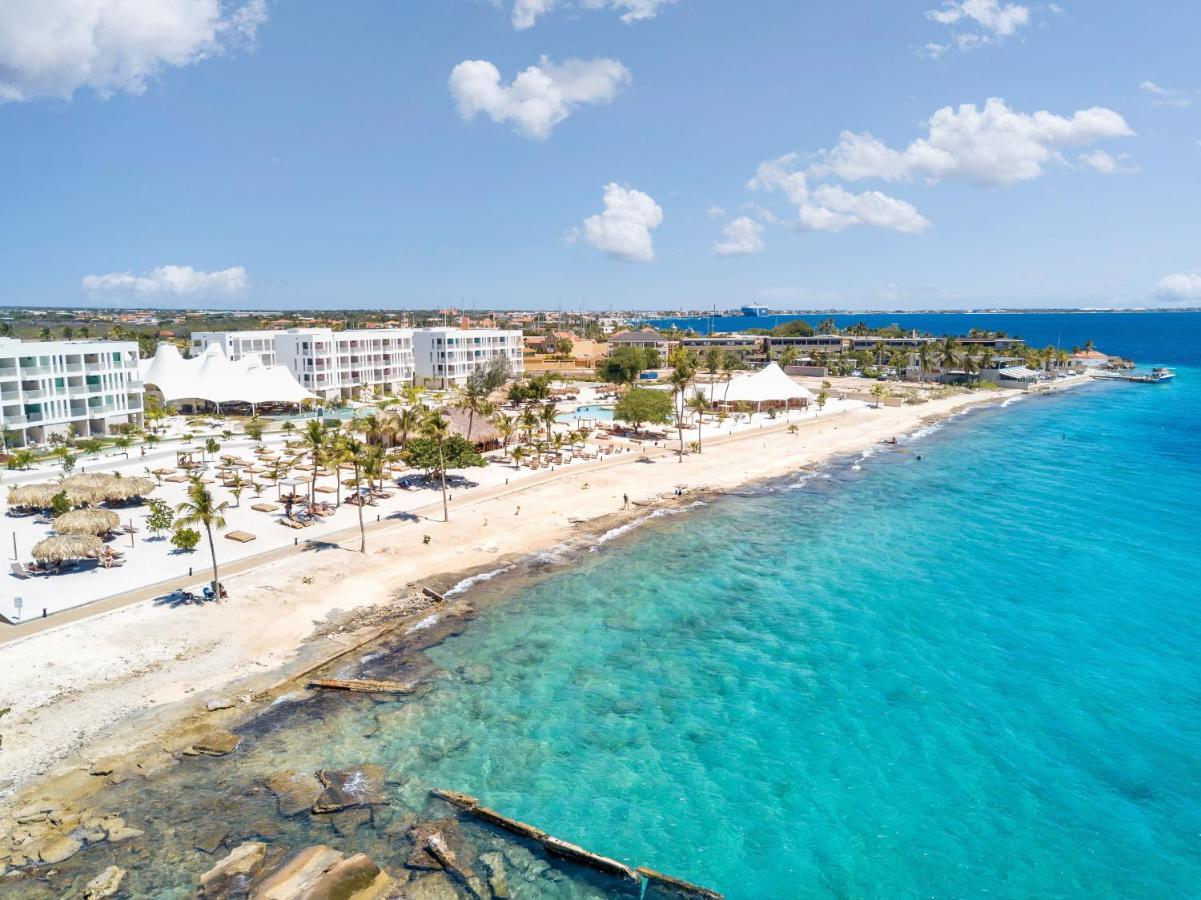 Chogogo Dive & Beach Resort Bonaire كراليندايك المظهر الخارجي الصورة
