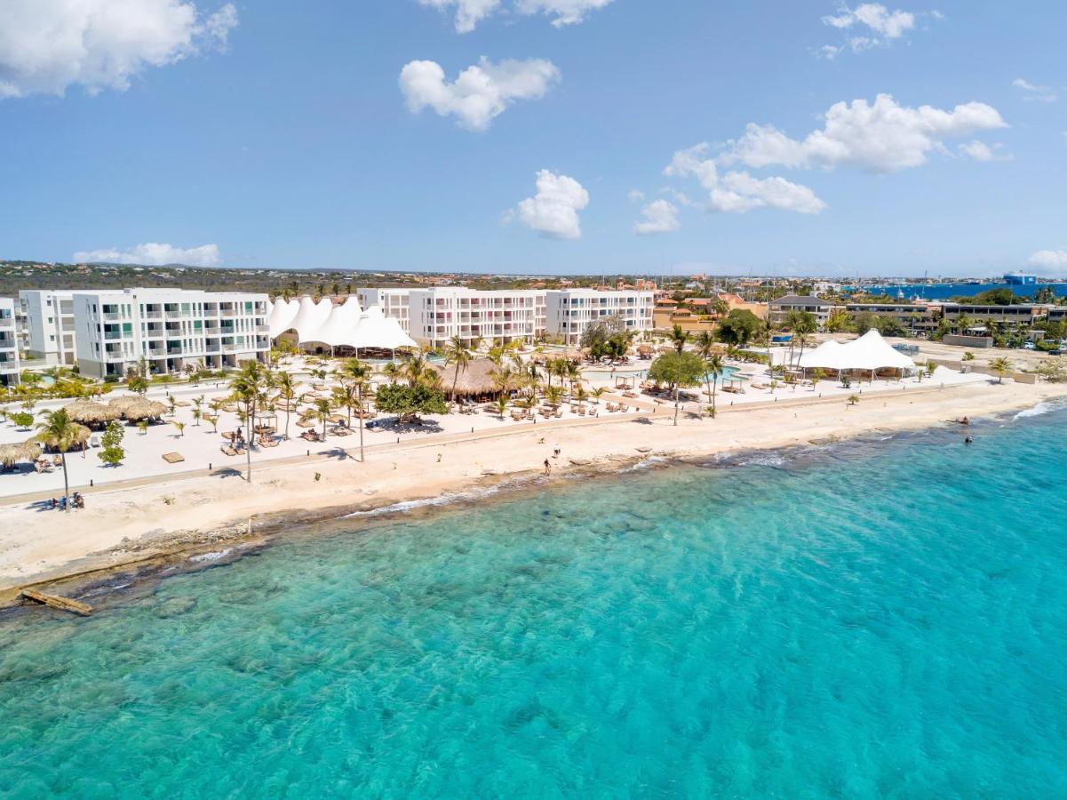 Chogogo Dive & Beach Resort Bonaire كراليندايك المظهر الخارجي الصورة