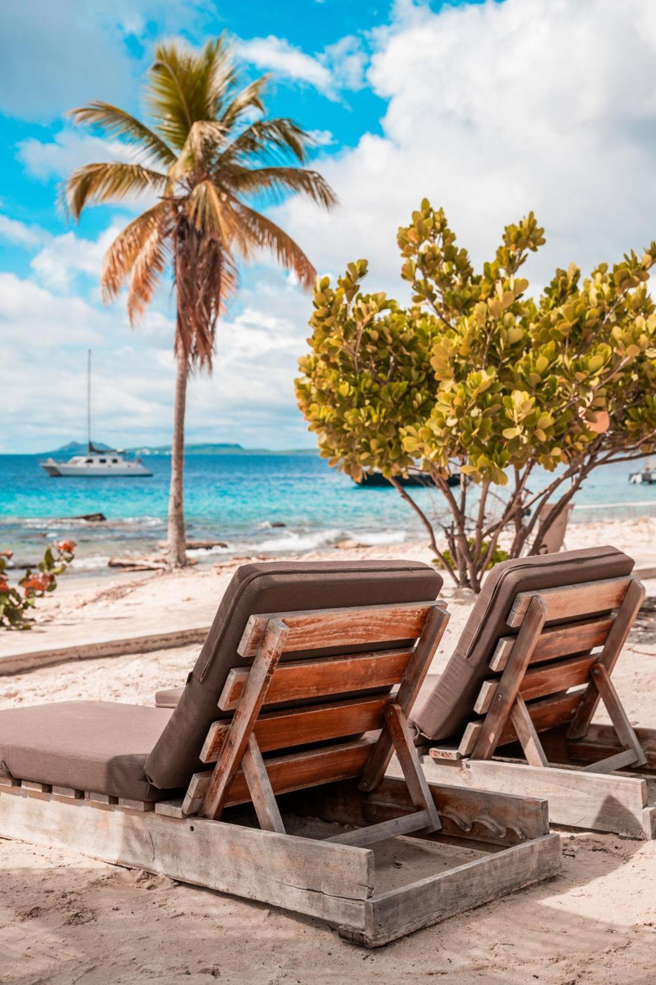 Chogogo Dive & Beach Resort Bonaire كراليندايك المظهر الخارجي الصورة