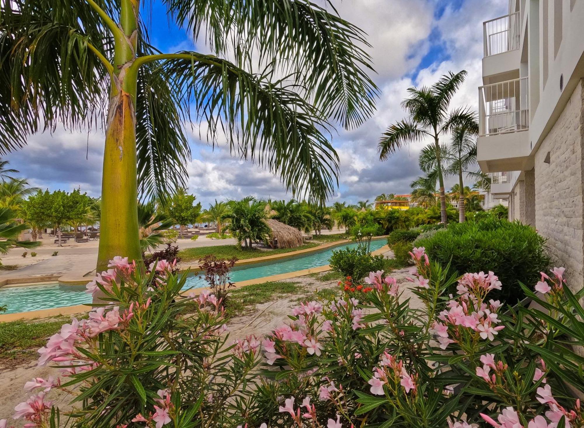 Chogogo Dive & Beach Resort Bonaire كراليندايك المظهر الخارجي الصورة