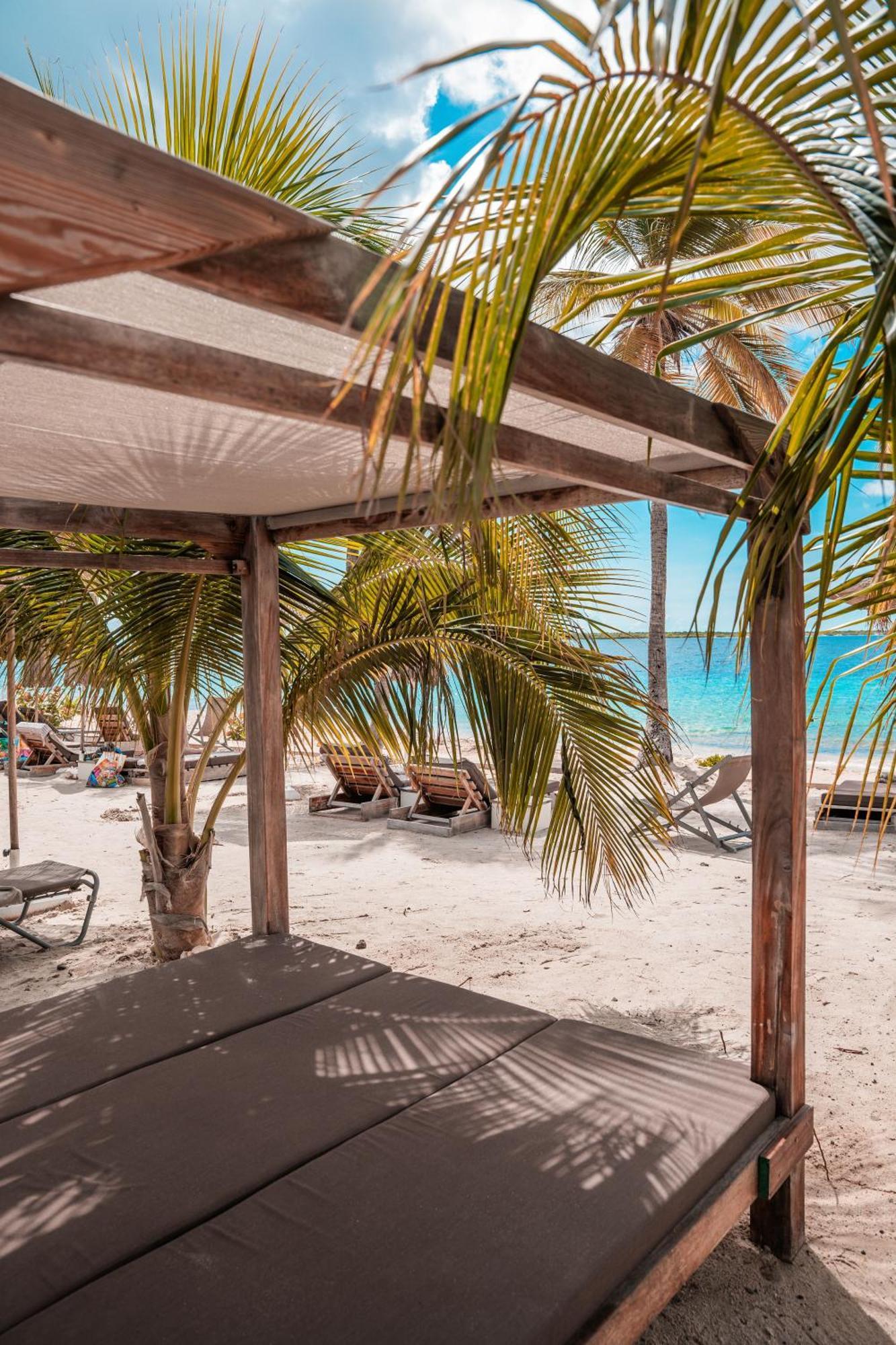 Chogogo Dive & Beach Resort Bonaire كراليندايك المظهر الخارجي الصورة