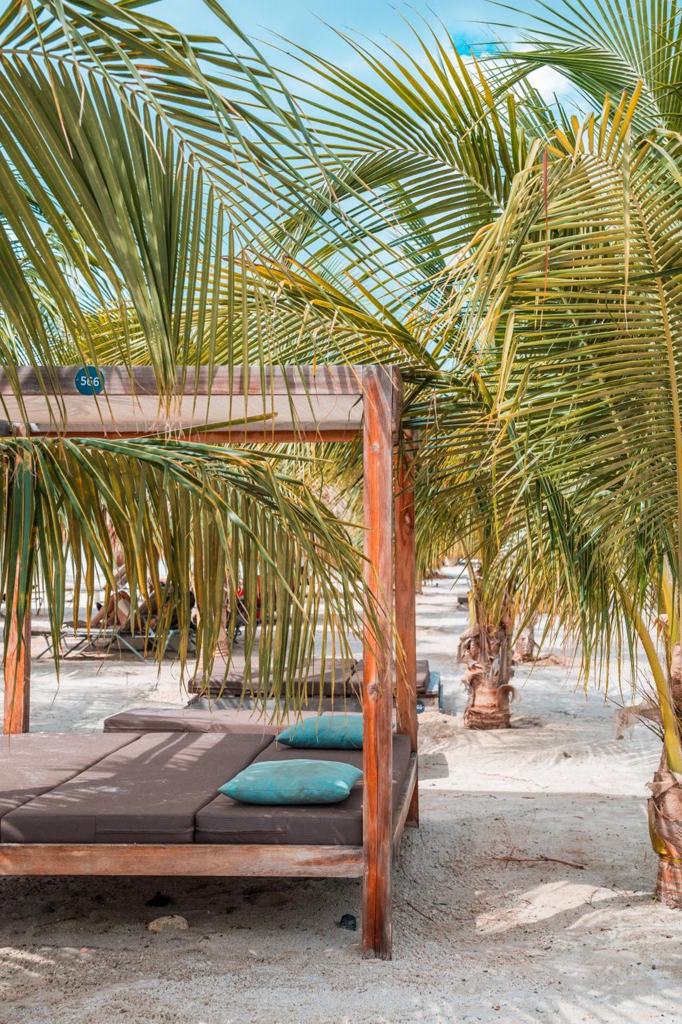 Chogogo Dive & Beach Resort Bonaire كراليندايك المظهر الخارجي الصورة