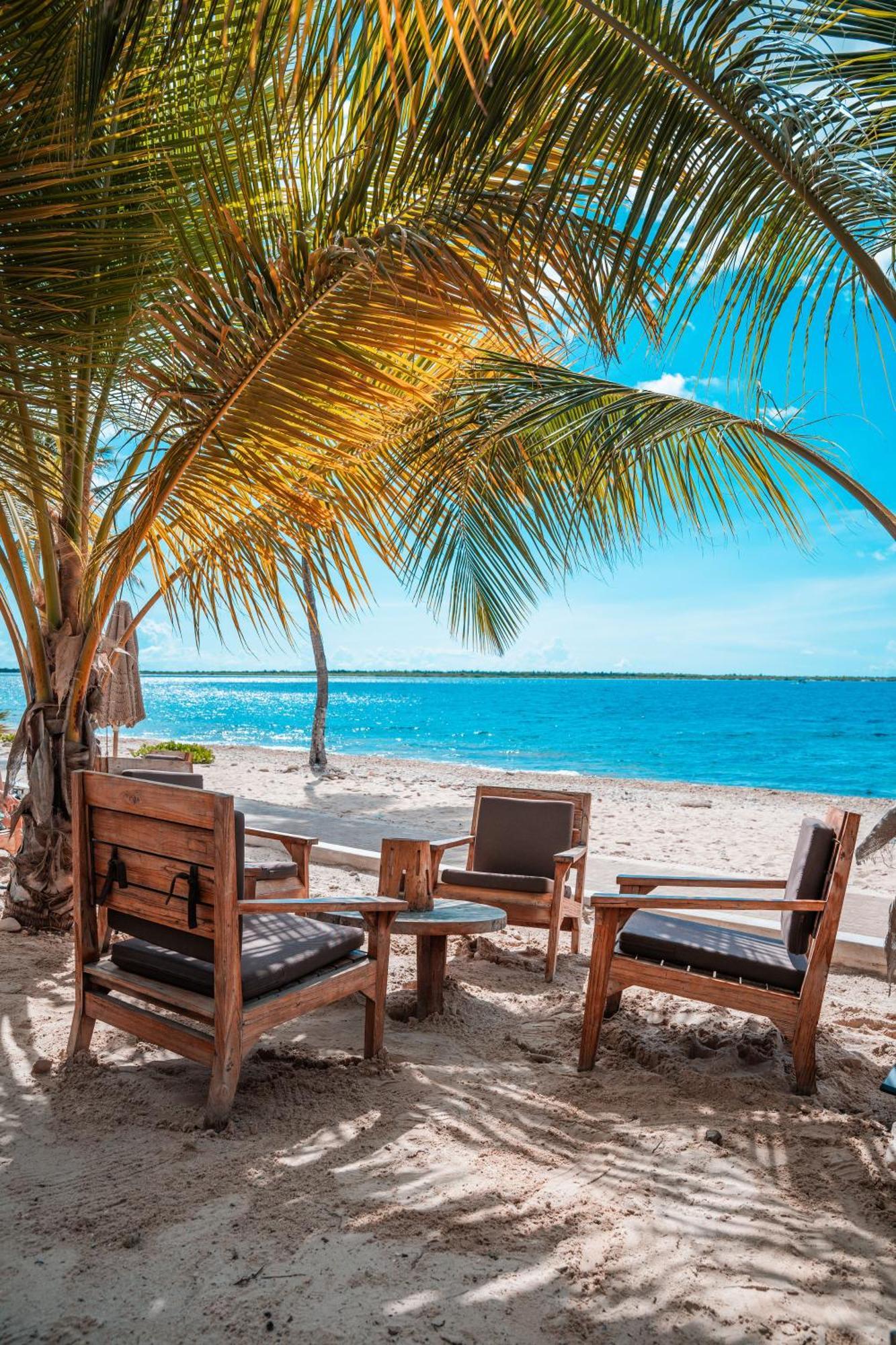 Chogogo Dive & Beach Resort Bonaire كراليندايك المظهر الخارجي الصورة